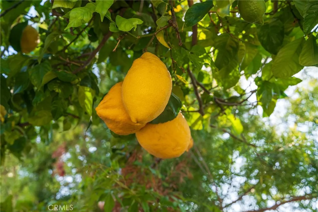 Additional image 14 of 2141 Palermo, Tustin, CA 92782