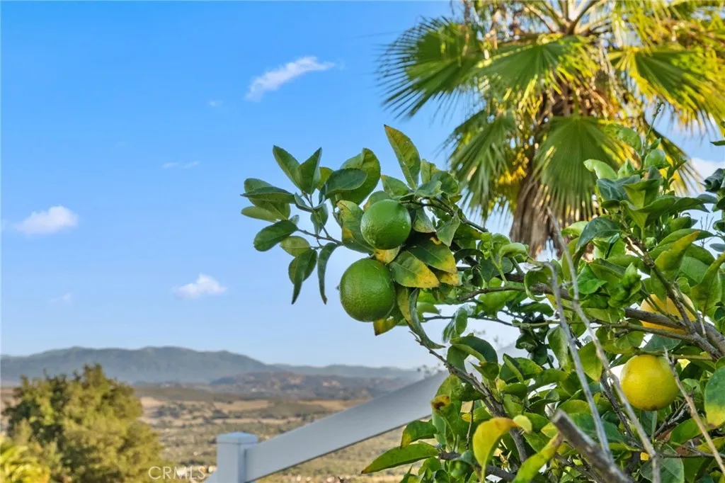 Additional image 115 of 40055 Valle Vista, Murrieta, CA 92562