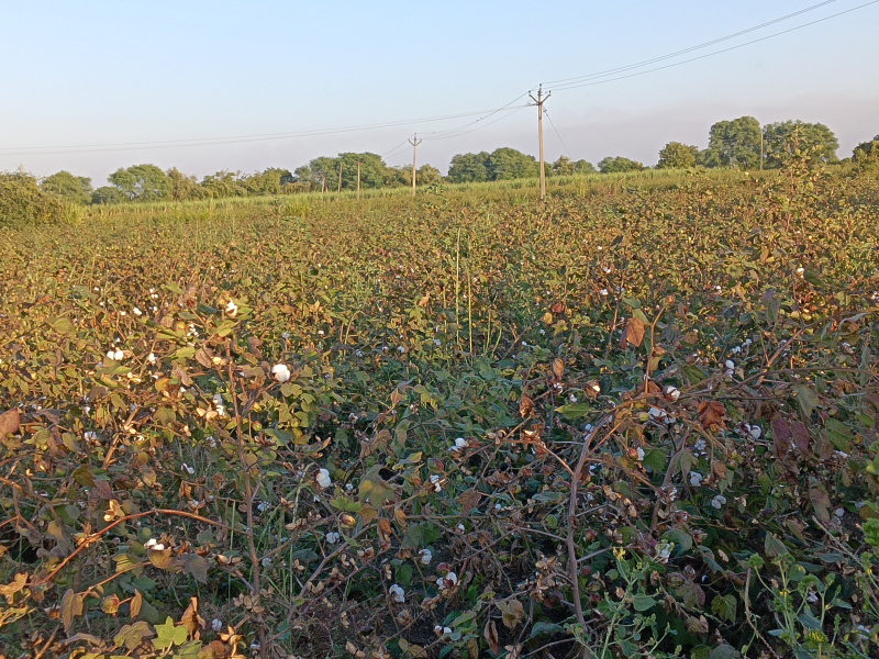 Additional image 3 of Kalameshwar, Nagpur