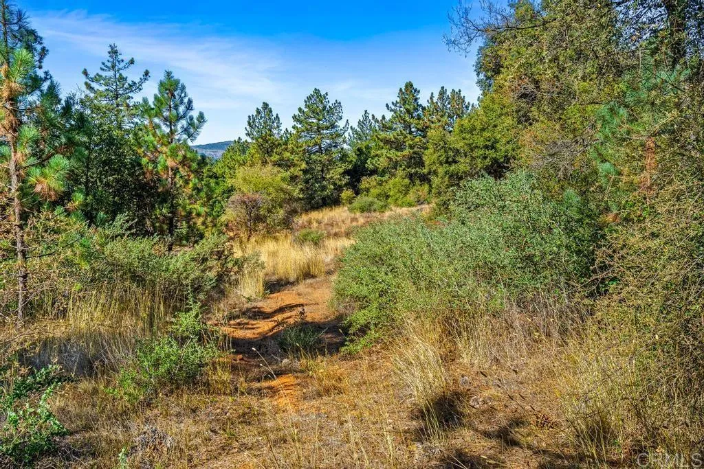 Additional image 6 of 120 Vacant Land Mesa Grande Road, Santa Ysabel, CA 92070