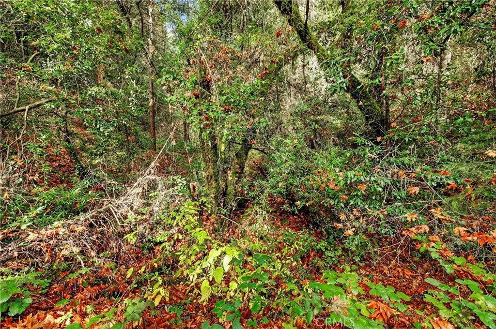 Additional image 12 of Burgundy Lane, Forest Ranch, CA 95942