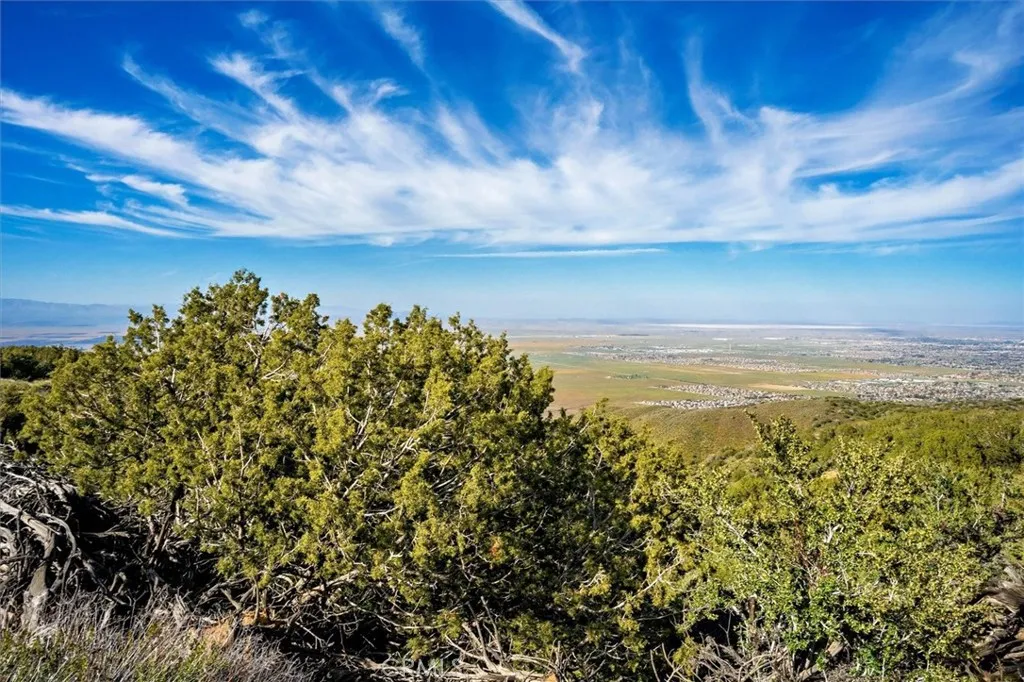 Additional image 71 of 48725 Shallow Springs Road N, Leona Valley, CA 93551