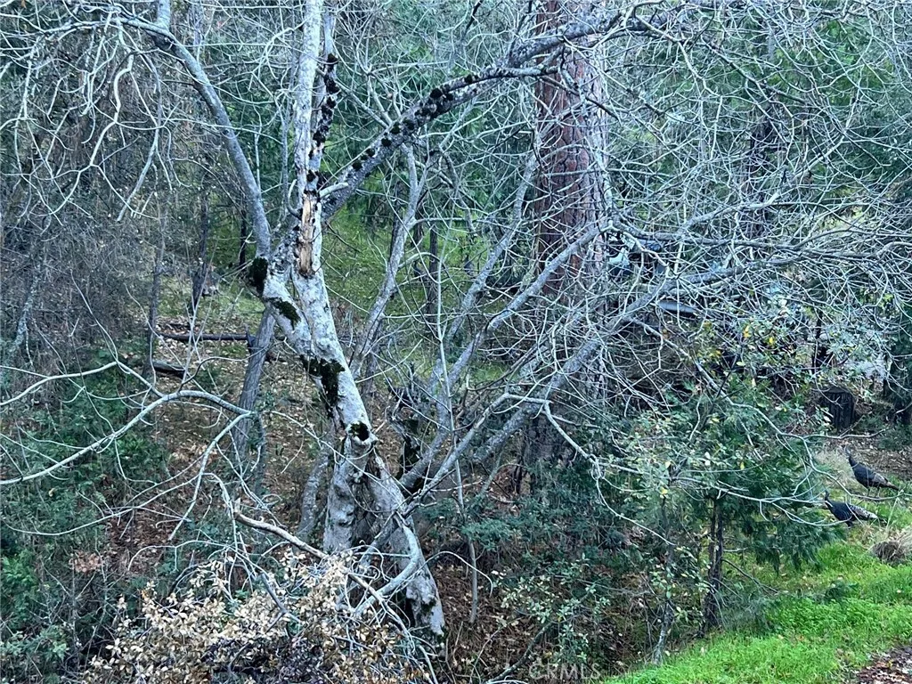 Additional image 5 of Snowy Creek Way, Coarsegold, CA 93614