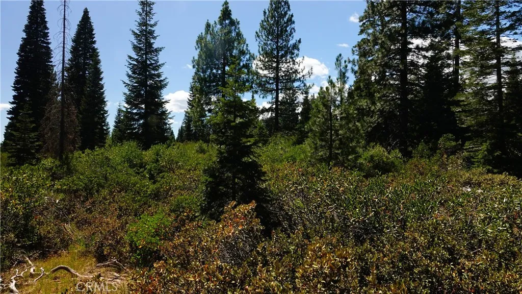 Additional image 9 of Echo Way, McCloud, CA 96057