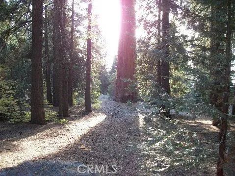 Additional image 10 of 54584 Ponderosa Drive, Springville, CA 93265