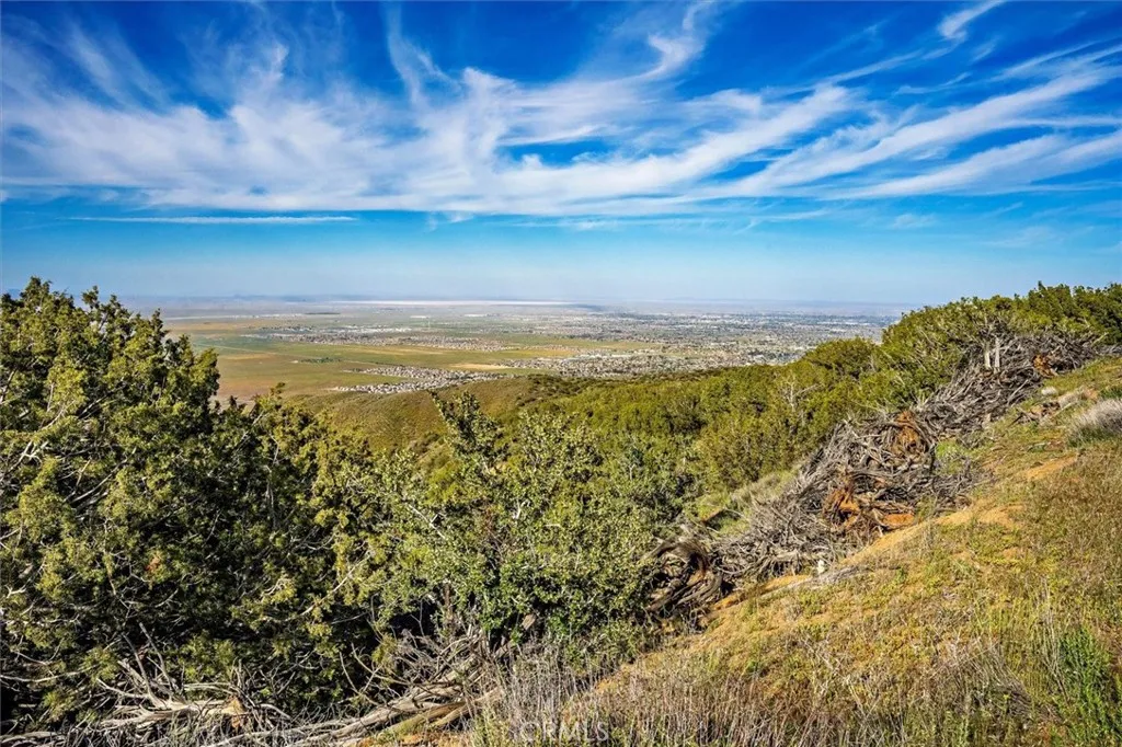 Additional image 6 of 48725 Shallow Springs Road N, Leona Valley, CA 93551