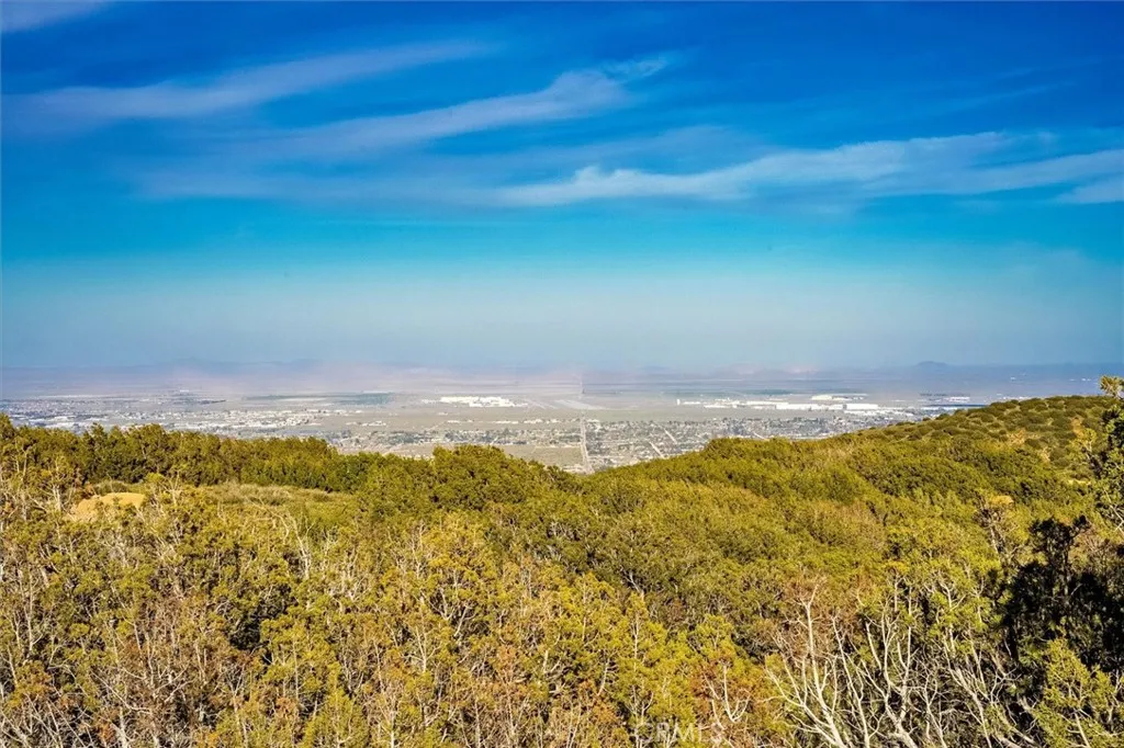 Additional image 96 of 48725 Shallow Springs Road N, Leona Valley, CA 93551