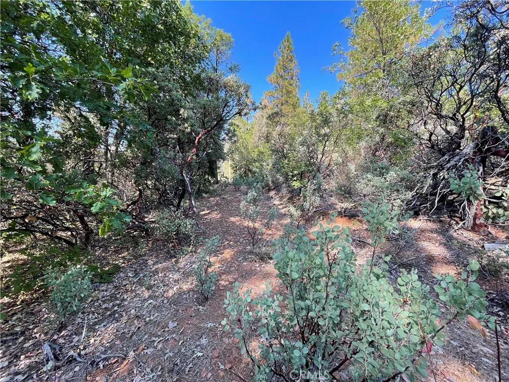 Additional image 14 of Forbestown, Challenge, CA 95925