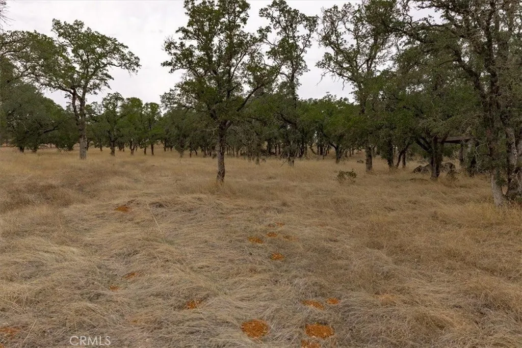 Additional image 7 of Inglewood, Oroville, CA 95966