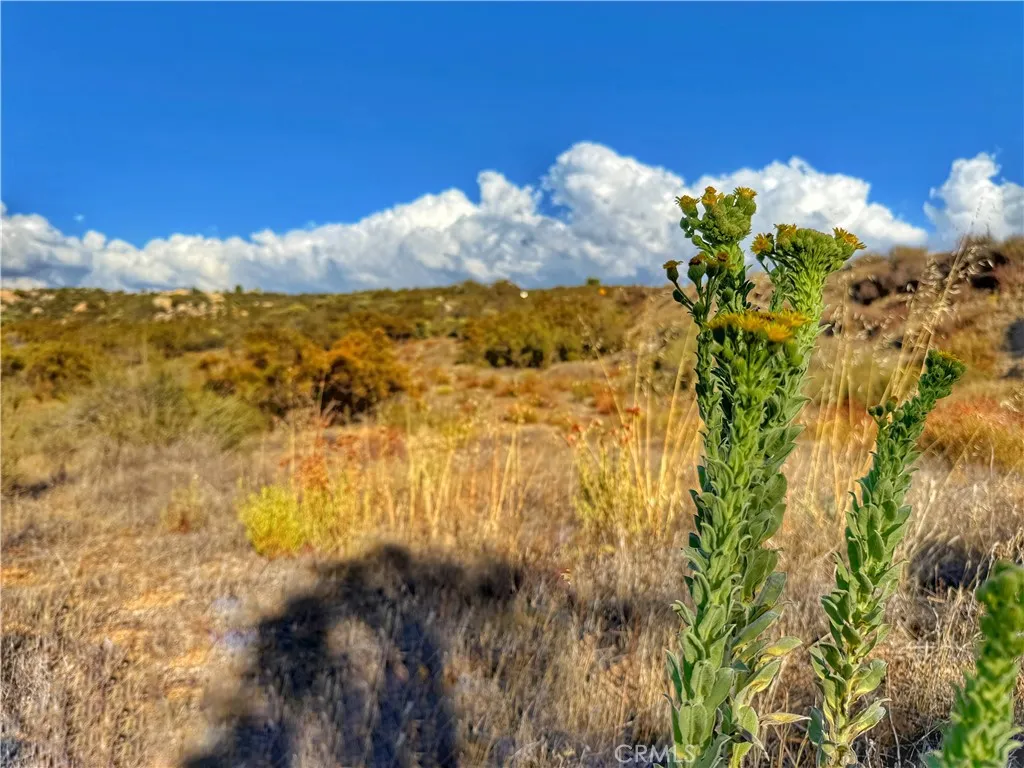 Additional image 7 of Rolling Hills, Aguanga, CA 92539