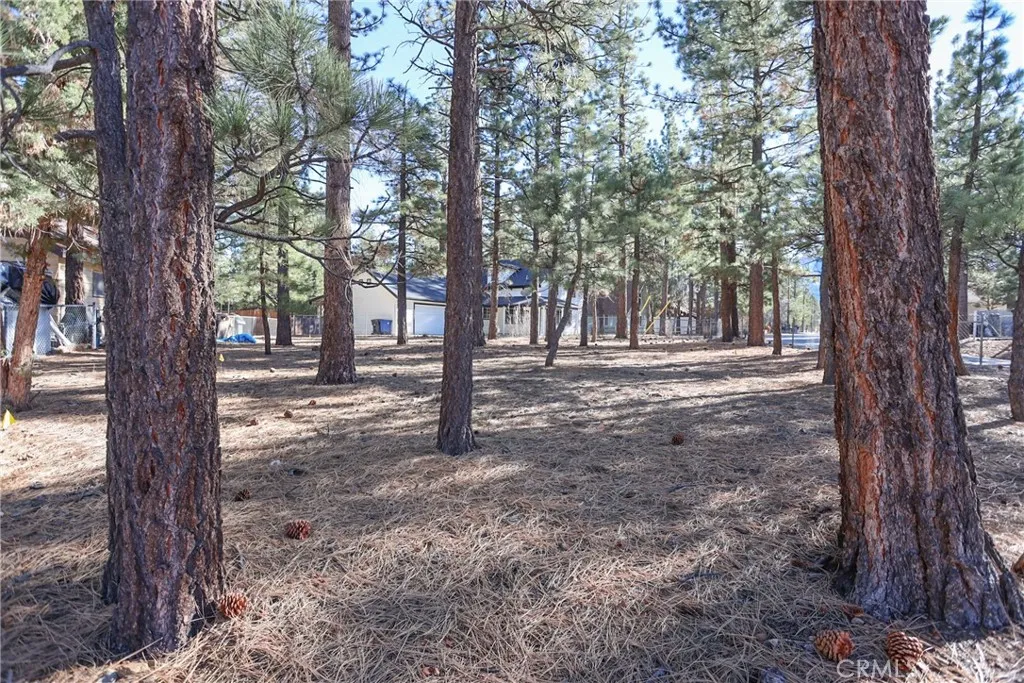 Additional image 3 of Dutch, Big Bear City, CA 92314