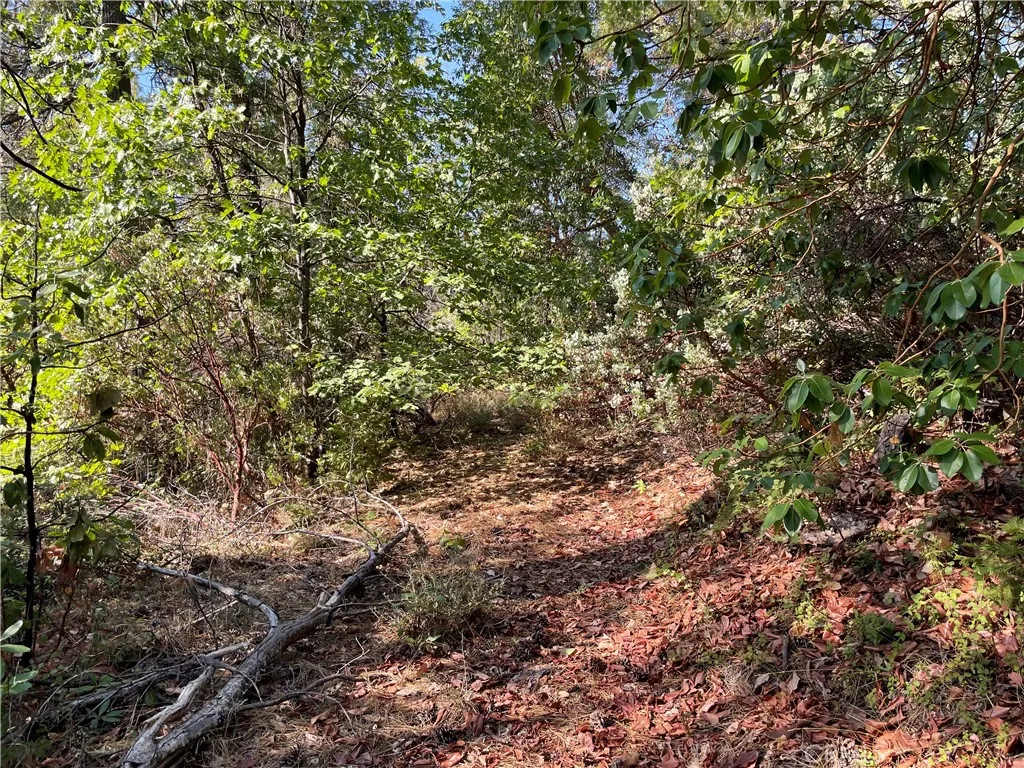 Additional image 15 of Forbestown, Challenge, CA 95925