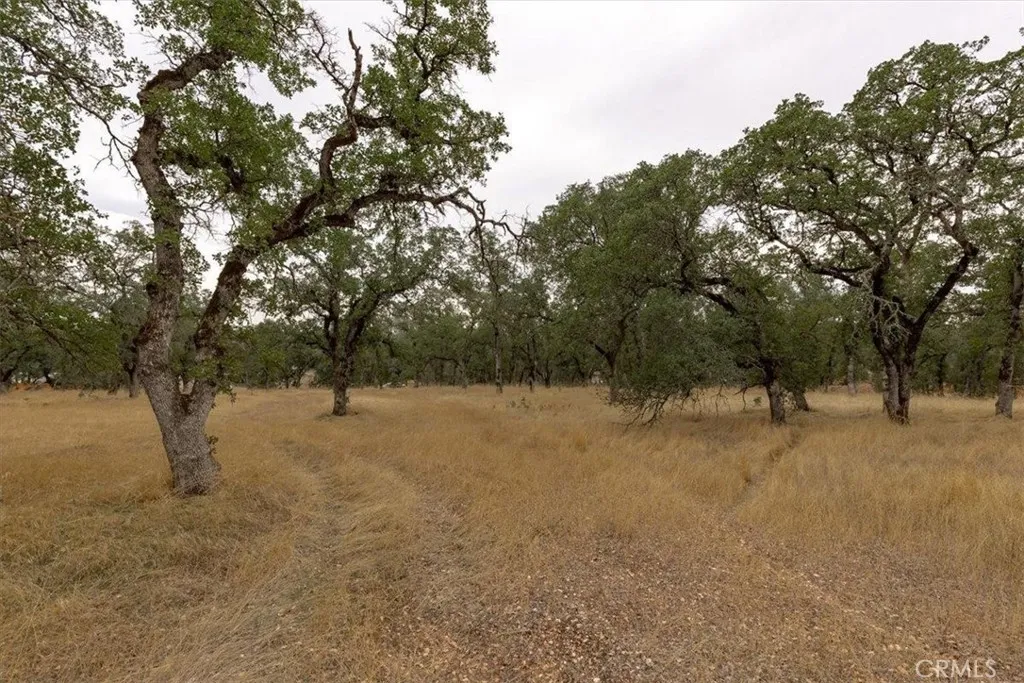 Additional image 71 of Inglewood, Oroville, CA 95966