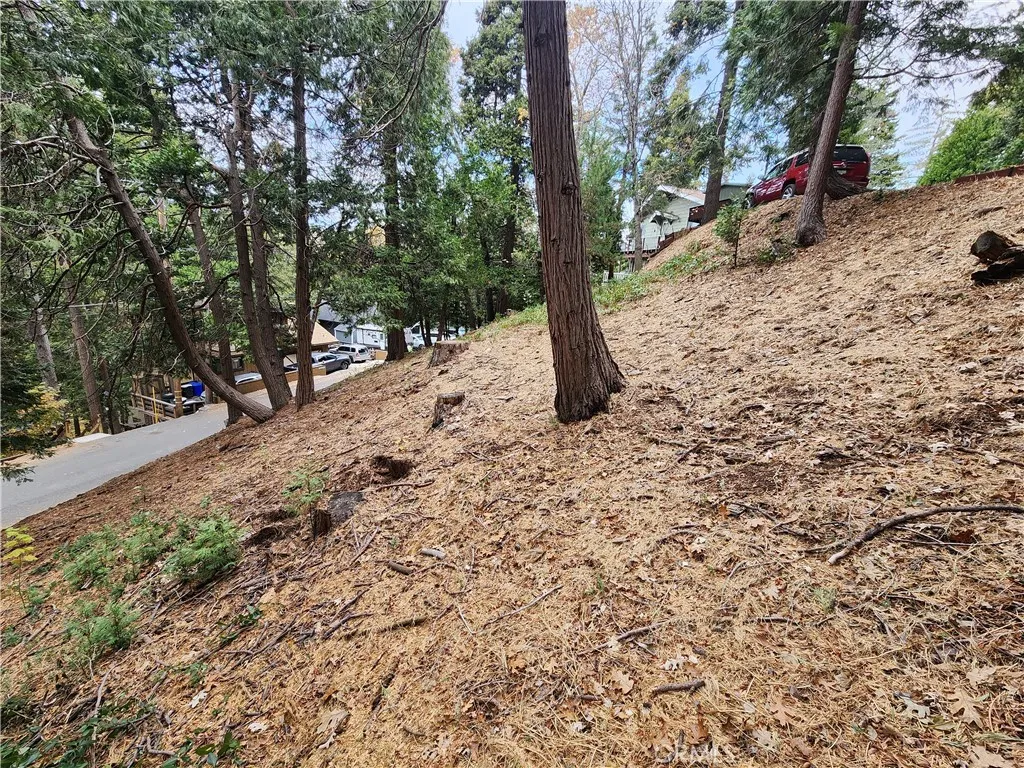 Additional image 10 of Horst Drive, Crestline, CA 92325