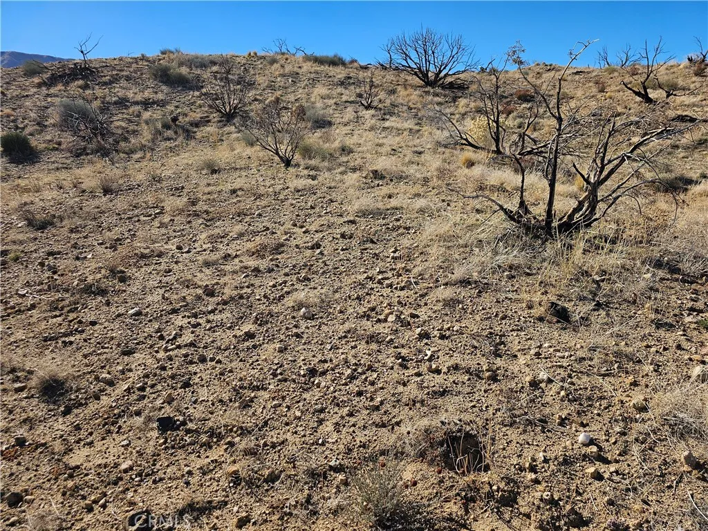 Additional image 3 of 6 128th E, Juniper Hills, CA 93543