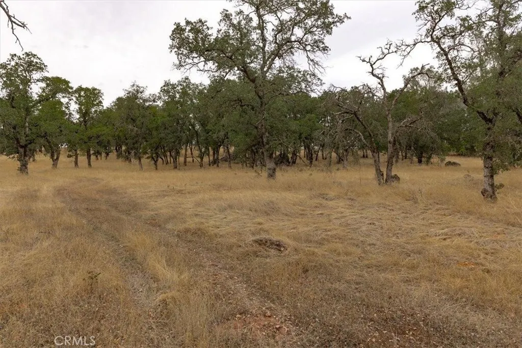 Additional image 50 of Inglewood, Oroville, CA 95966