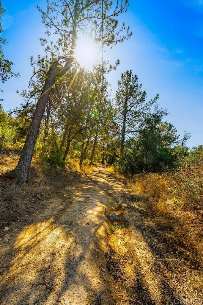 Additional image 59 of 120 Vacant Land Mesa Grande Road, Santa Ysabel, CA 92070