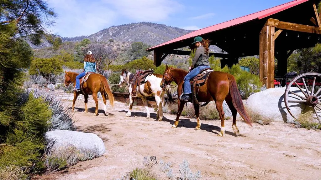 Additional image 86 of 55025 Roadrunner Way, Anza, CA 92539