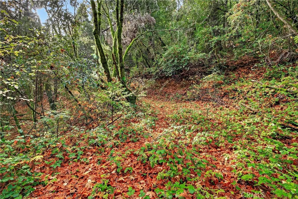 Additional image 6 of Burgundy Lane, Forest Ranch, CA 95942