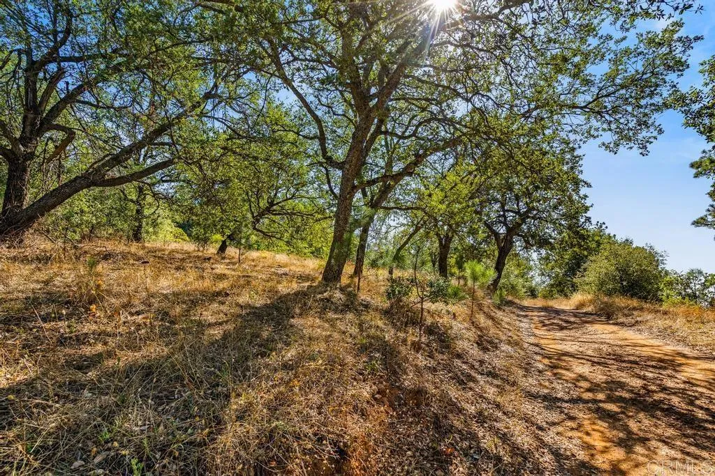 Additional image 17 of 120 Vacant Land Mesa Grande Road, Santa Ysabel, CA 92070