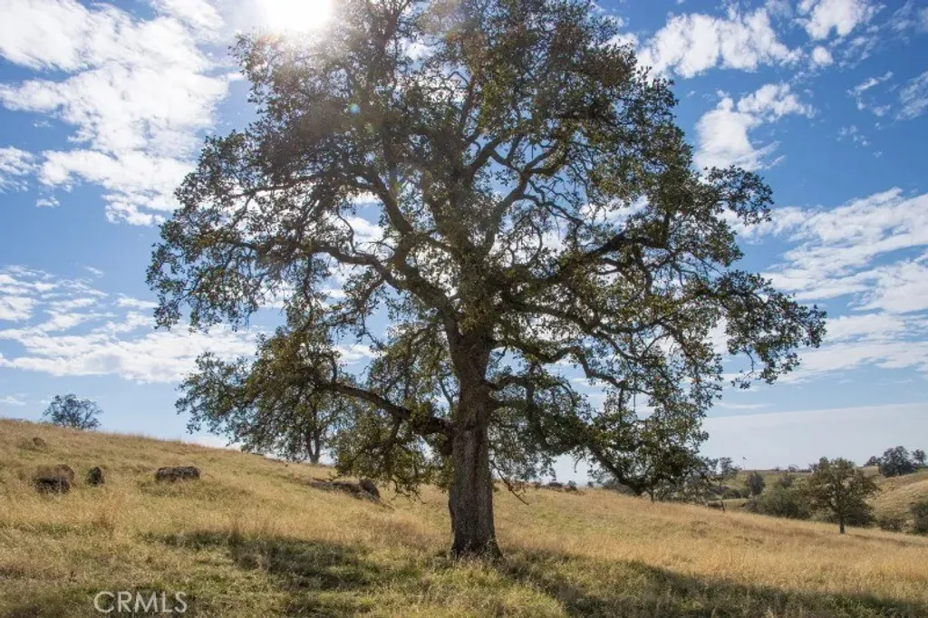 Additional image 28 of Millstream, Coarsegold, CA 93614