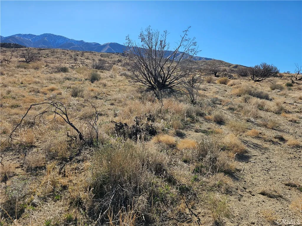 Additional image 6 of 126 E Avenue Y4, Littlerock, CA 93543