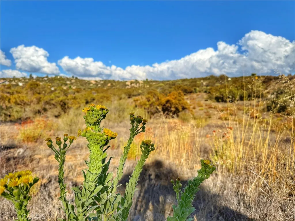 Additional image 23 of Rolling Hills, Aguanga, CA 92539
