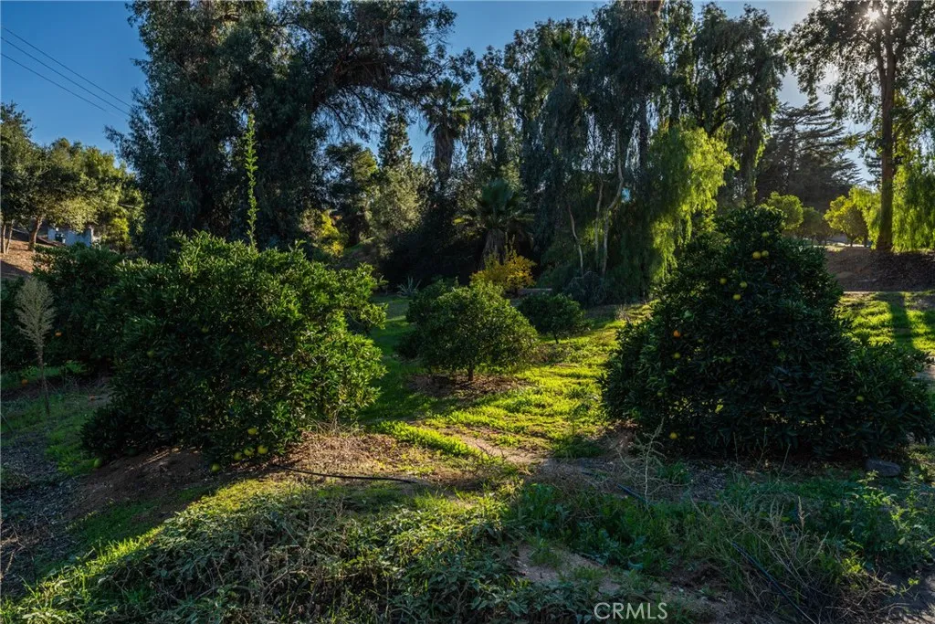 Additional image 15 of 218 Valencia Drive, Redlands, CA 92374