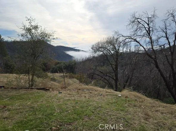 Additional image 20 of Pritchett, Berry Creek, CA 95916