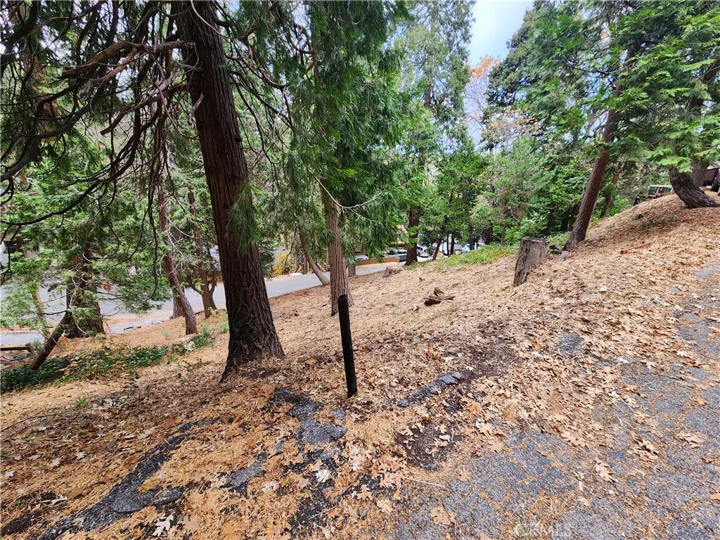 Additional image 26 of Horst Drive, Crestline, CA 92325
