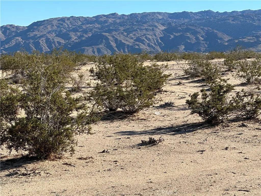 Additional image 2 of Nandia, 29 Palms, CA 92277
