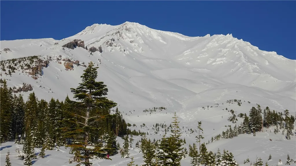 Additional image 26 of Echo Way, McCloud, CA 96057