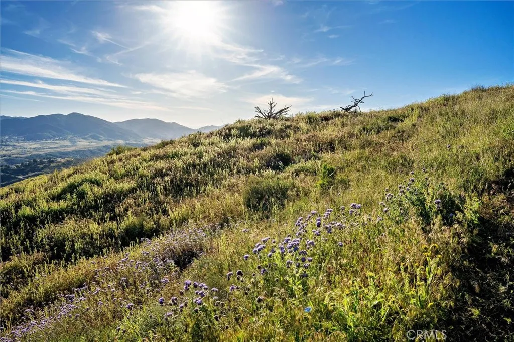 Additional image 88 of 48725 Shallow Springs Road N, Leona Valley, CA 93551