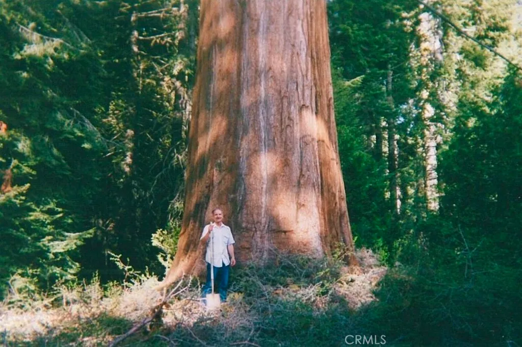 Additional image 4 of 54584 Ponderosa Drive, Springville, CA 93265