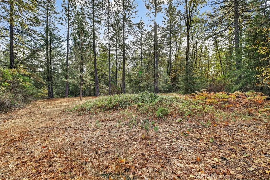 Additional image 37 of Burgundy Lane, Forest Ranch, CA 95942