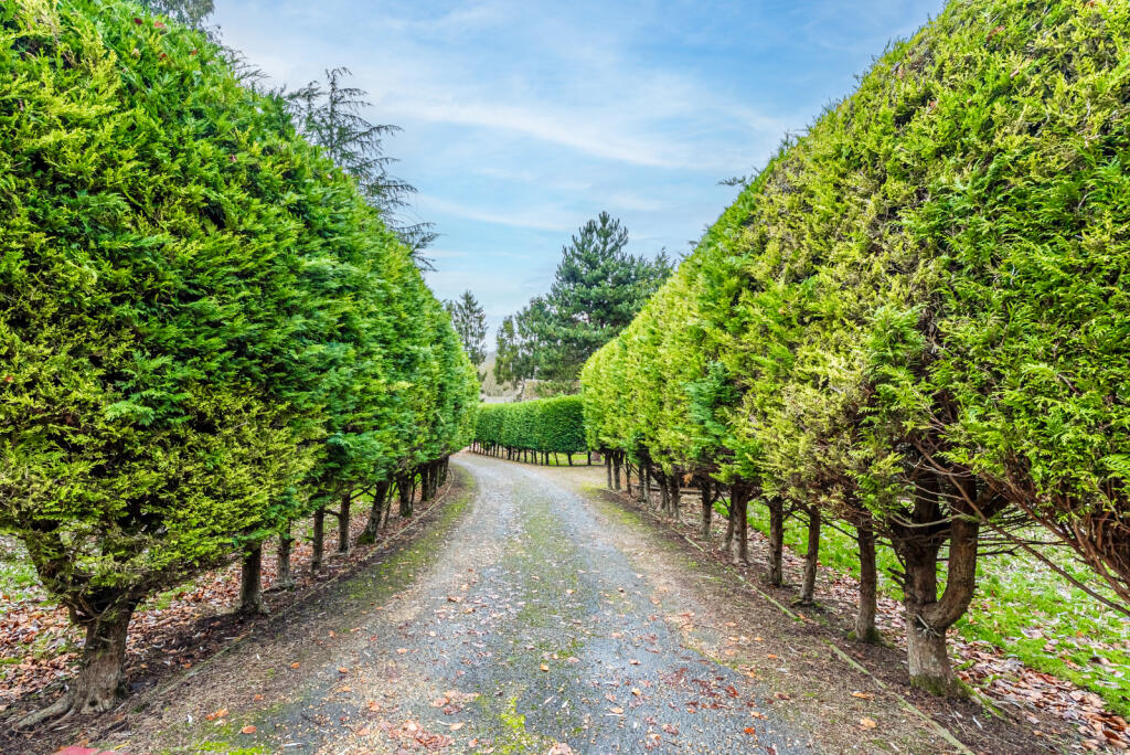 Additional image 21 of Delmer End Lane, Flamstead, St. Albans, Hertfordshire, AL3