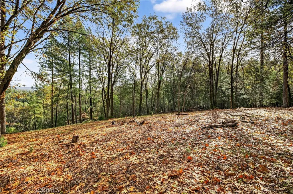 Additional image 3 of Burgundy Lane, Forest Ranch, CA 95942