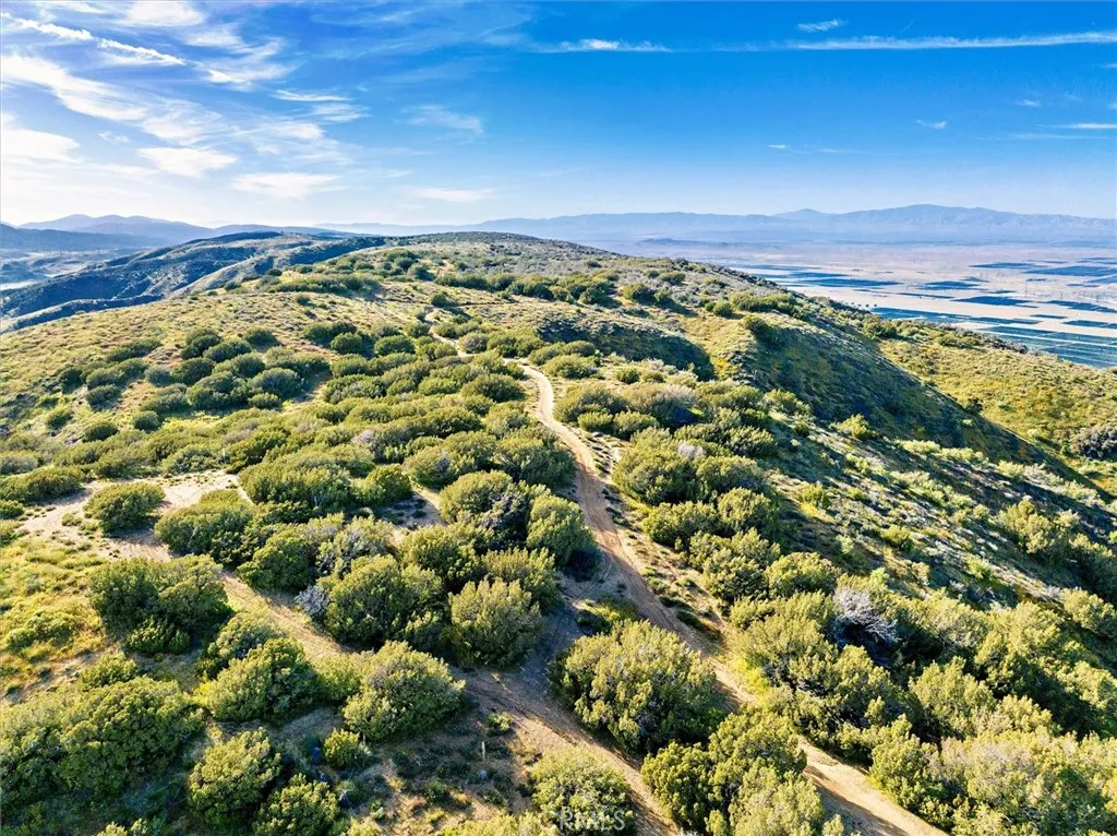 Additional image 108 of 48725 Shallow Springs Road N, Leona Valley, CA 93551