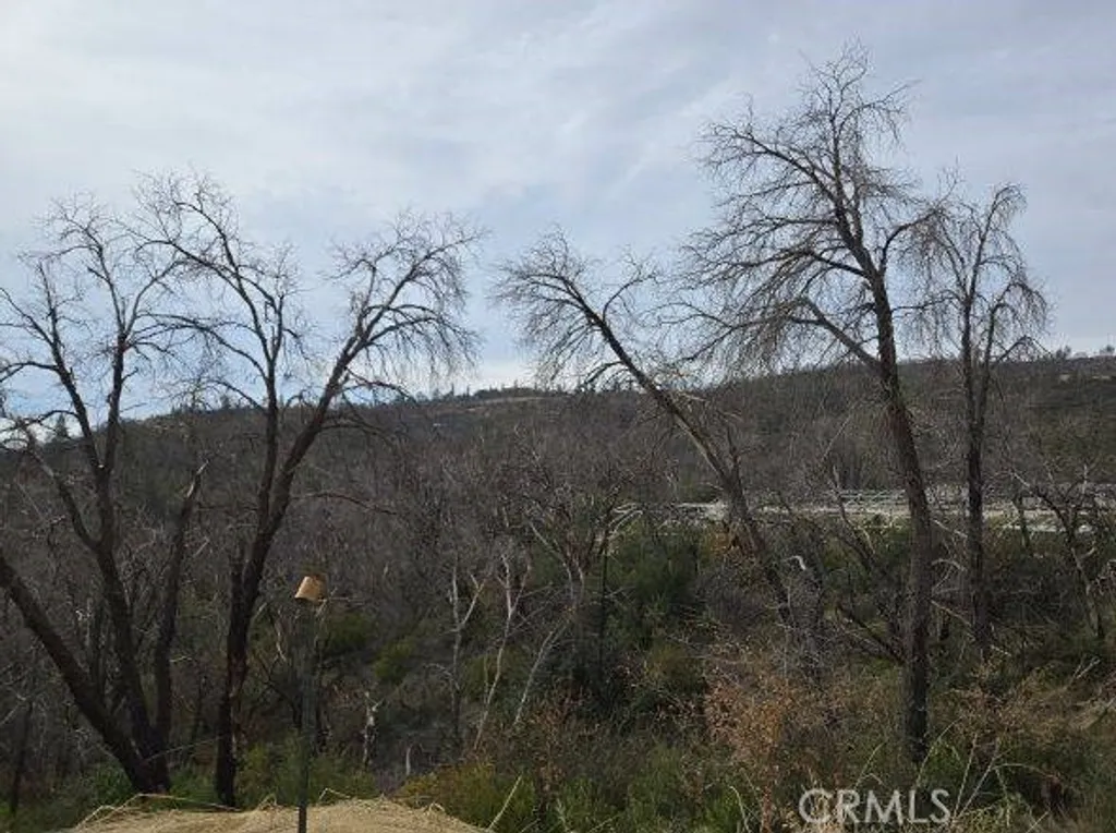 Additional image 10 of Pritchett, Berry Creek, CA 95916