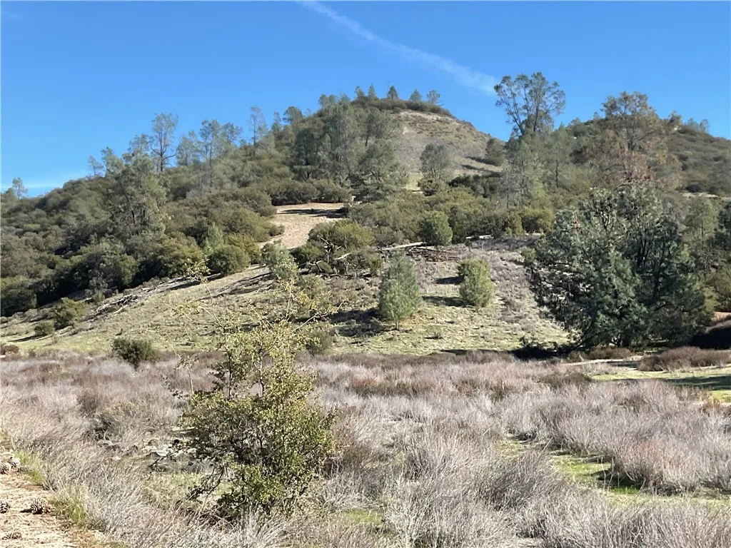 Additional image 39 of Argyle Road, King City, CA 93930