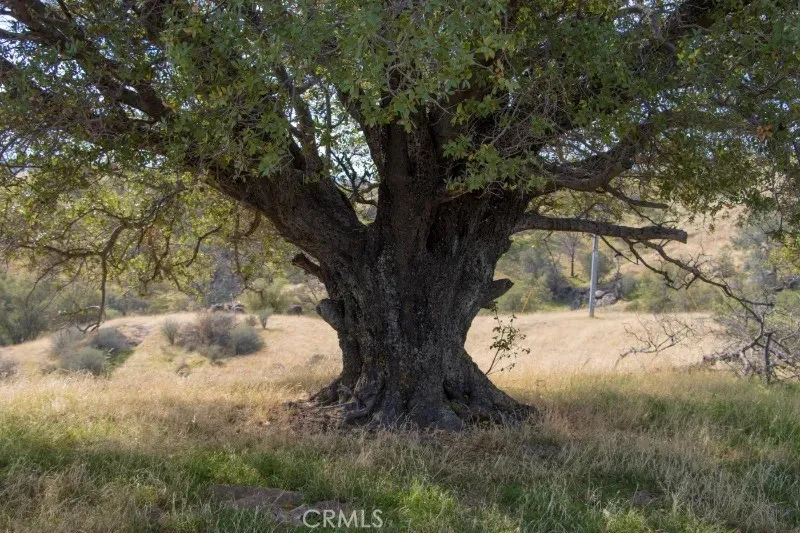 Additional image 60 of Millstream, Coarsegold, CA 93614