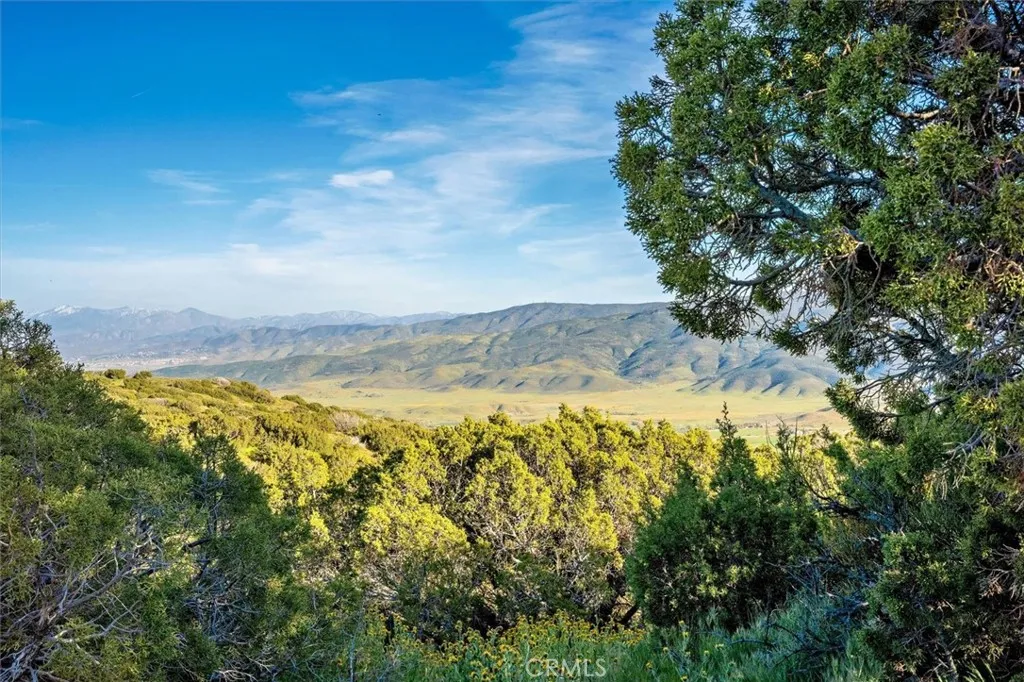 Additional image 94 of 48725 Shallow Springs Road N, Leona Valley, CA 93551