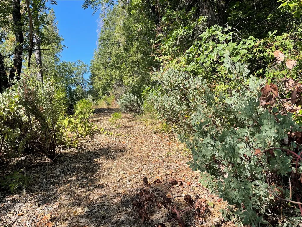 Additional image 16 of Forbestown, Challenge, CA 95925