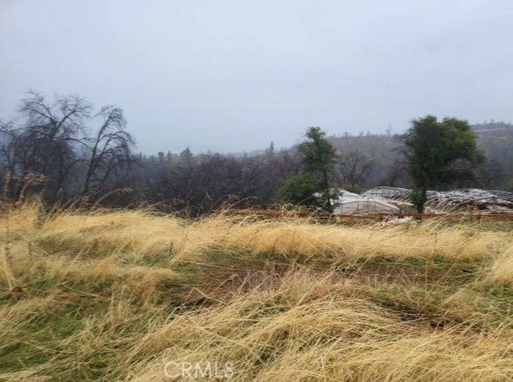 Additional image 4 of Pritchett, Berry Creek, CA 95916