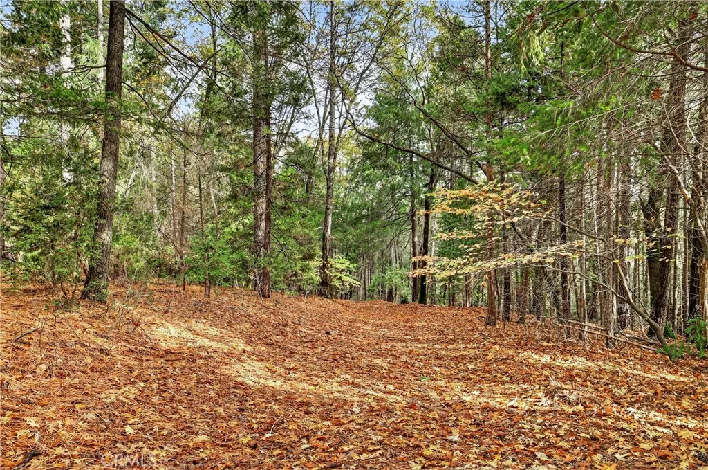 Additional image 36 of Burgundy Lane, Forest Ranch, CA 95942