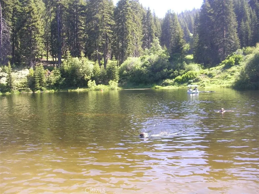 Additional image 16 of 54584 Ponderosa Drive, Springville, CA 93265