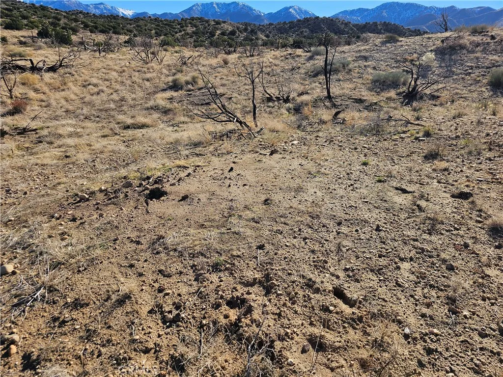 Additional image 4 of 6 128th E, Juniper Hills, CA 93543