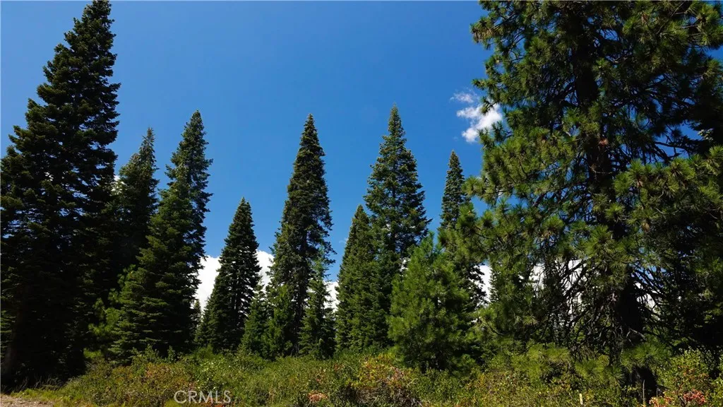 Additional image 39 of Echo Way, McCloud, CA 96057