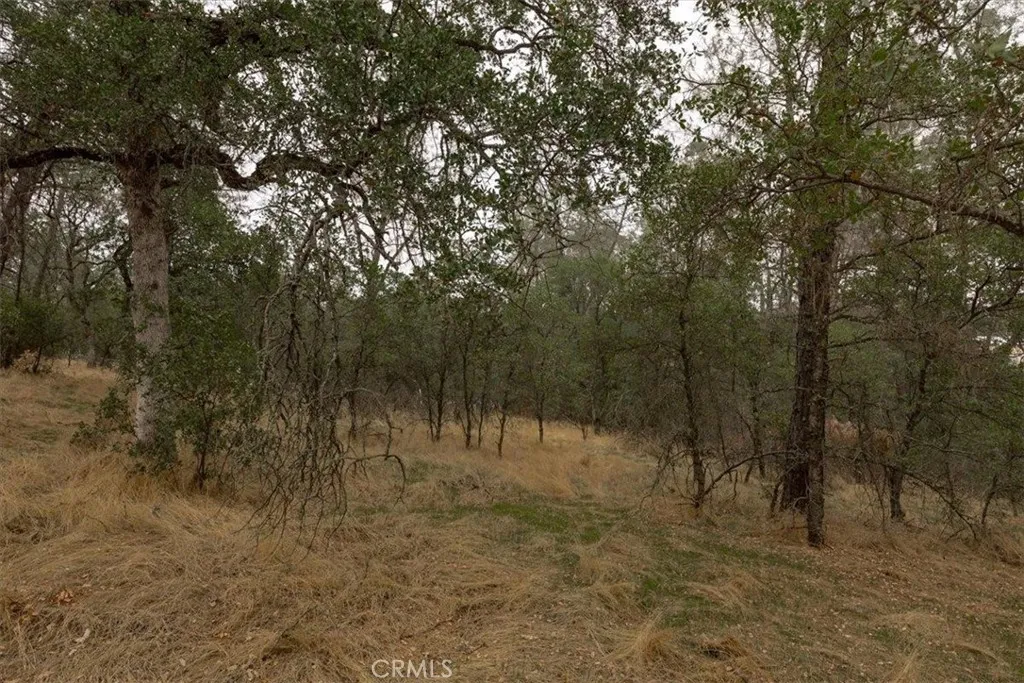 Additional image 31 of Inglewood, Oroville, CA 95966