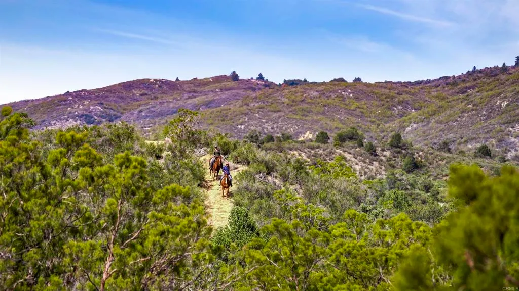 Additional image 11 of 36750 Upper Valley Road, Anza, CA 92539